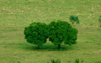 YOU and ME