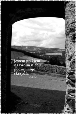inny podział