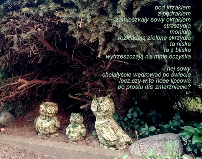 sowów trzech