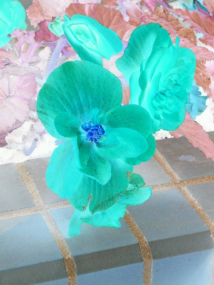 Invert 4
