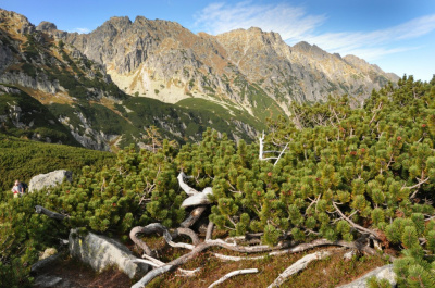Tatry