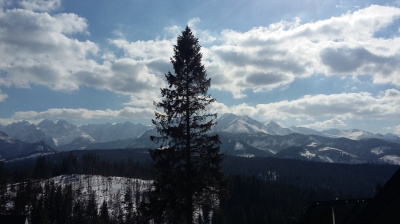 widoczek