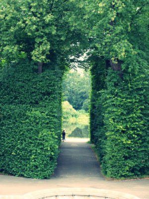 Wilanów :)