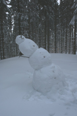 Wesoło i bez grawitacji