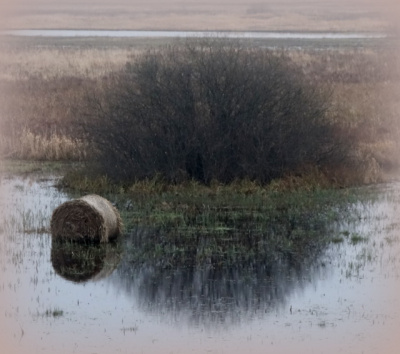 koła i półkola