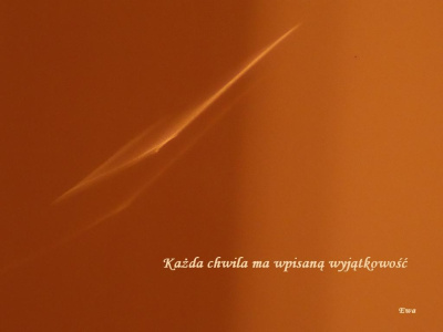 Refleks(ja)