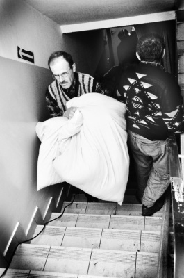 Fotoreportaż pt. Powódź w rzeszowskim schronisku