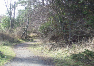 Hansel & Gretel's Path