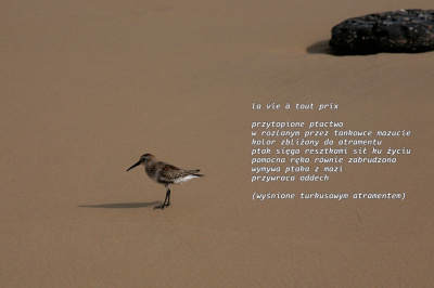 la vie à tout prix