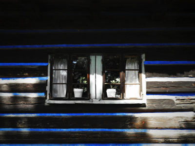 Usual day XL