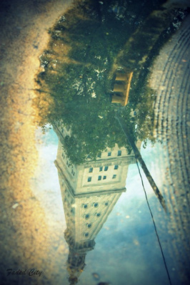 Reflection