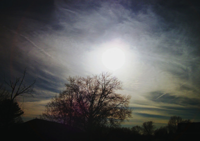 Tree and Sun (color)
