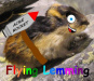 Flying Lemming