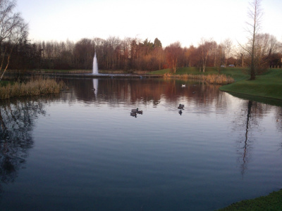 Lake In Autumn