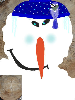 Mr.Icy