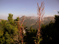 Tatry Zachodnie