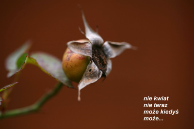 nadzieja...