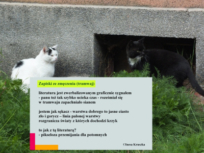 Zanotatka na temat