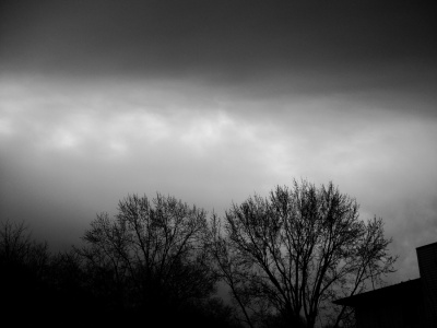Gray Sky