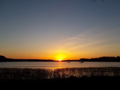 Wiosną w parku