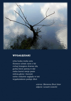 wygałęziaki