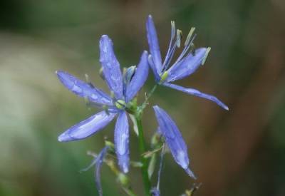 2002
