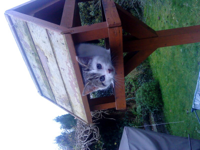 Sharing rent?