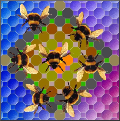 Honeycomb Heaven