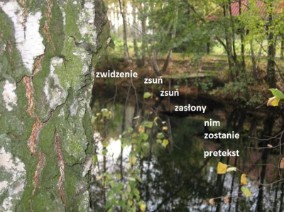 zwidzenie