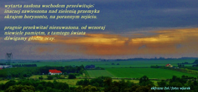 poranek zielony