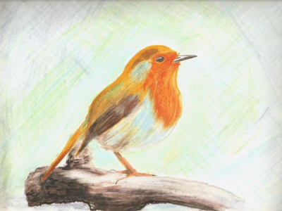 Robin