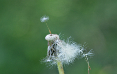 510