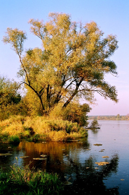 Wisła