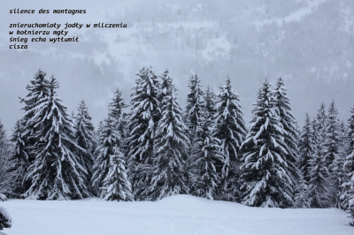 silence des montagnes