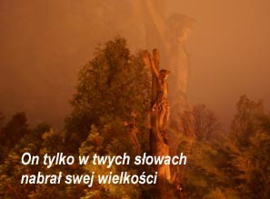 ...Cesarzowi co cesarskie...