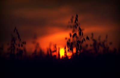 Dobranoc, zimo...
