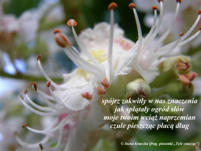 I znów obudzą znaczenia