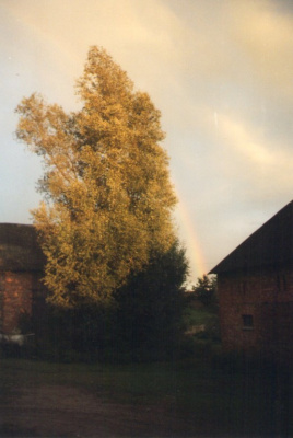 Tęcza