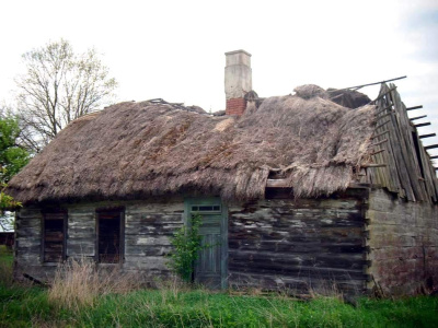 Degrengolada Domna