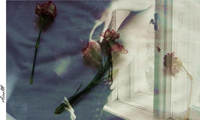 Sensualia
