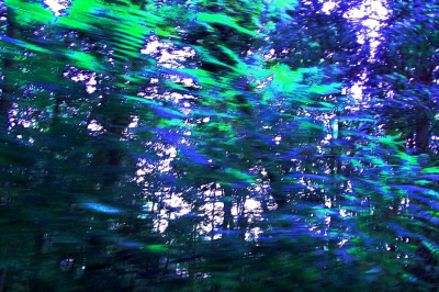 Jackson Pollock Was Here