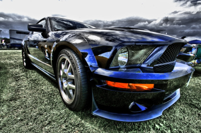 Shelby