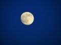blue moon /podgląda mnie dzisiaj znów, a ja otulam się ciszą i myśli kołyszę/