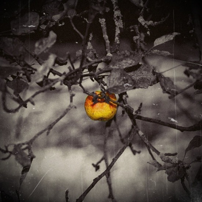 i apple ;)