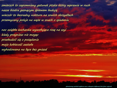 płomienny zachód wybiera ...