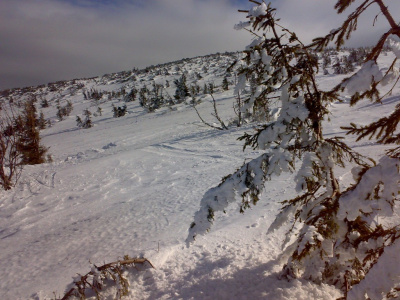 Karkonosze Kopa
