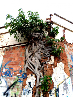 Persistence of Life