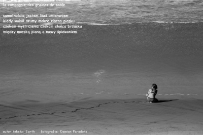 en compagnie des graines de sable - w gronie ziaren piasku