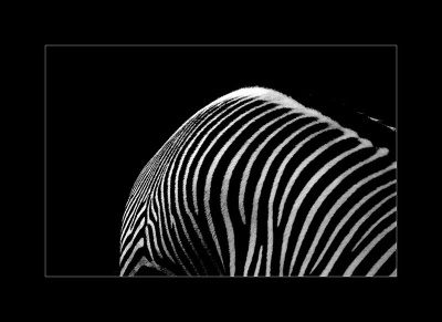 b&w? w&b?