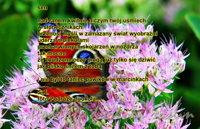 sen